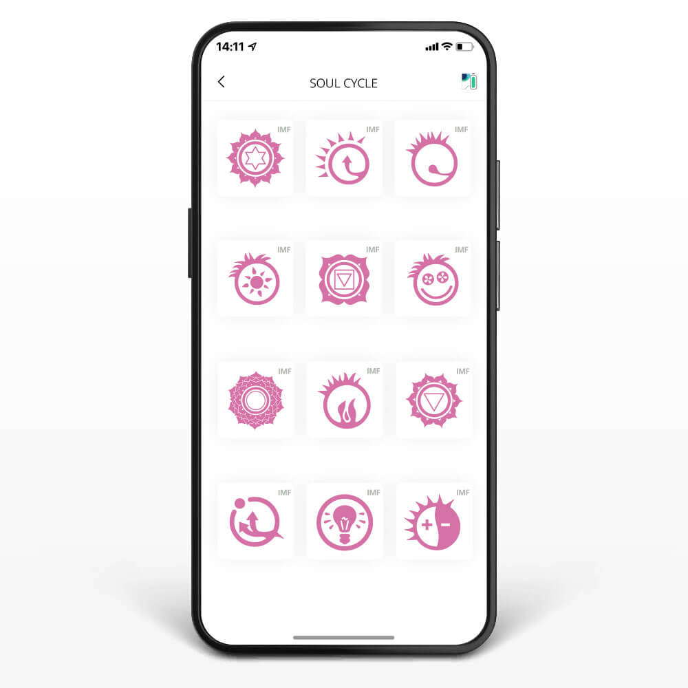 Healy Ciclo del Alma